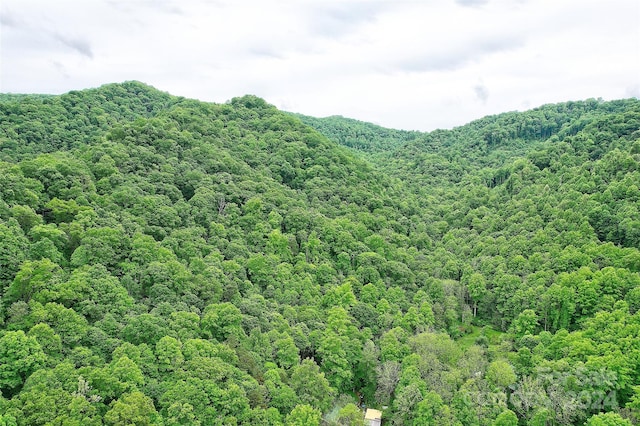 3830-B Hamburg Rd, Mars Hill NC, 28754 land for sale