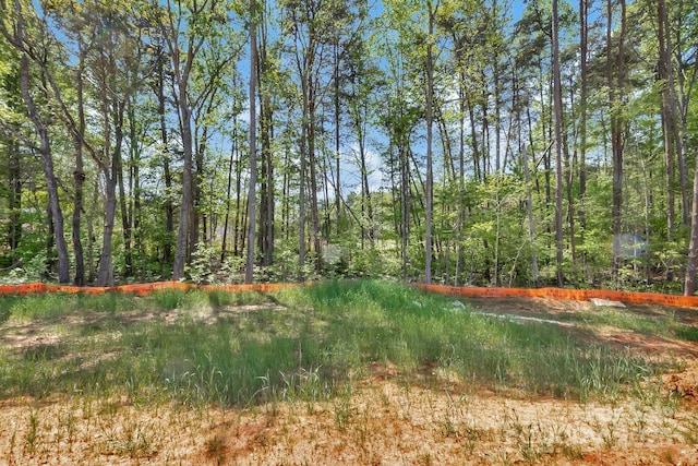 view of nature with a forest view