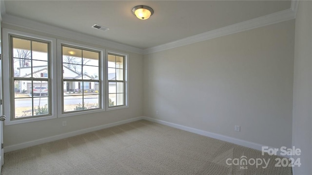 unfurnished room featuring crown molding and carpet flooring