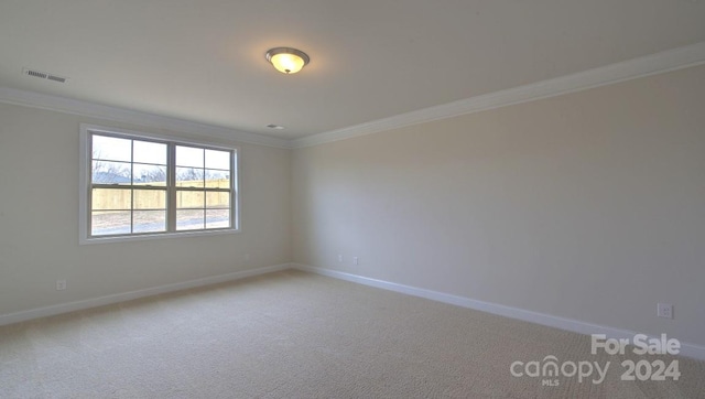 spare room with carpet and crown molding