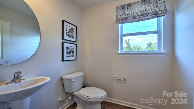 bathroom with wood-type flooring, sink, and toilet