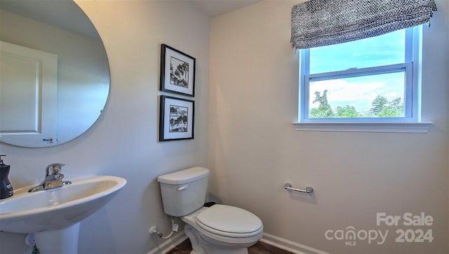 bathroom featuring sink, hardwood / wood-style flooring, and toilet