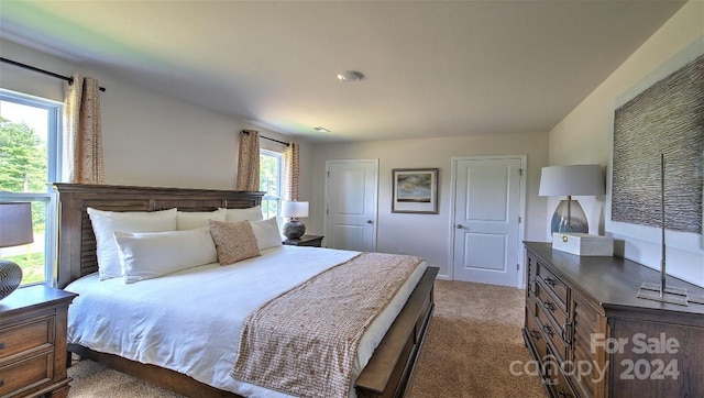 bedroom featuring a closet and dark carpet