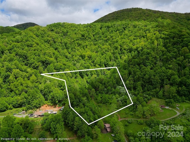 00 Morris Rd Unit 00, Clyde NC, 28721 land for sale