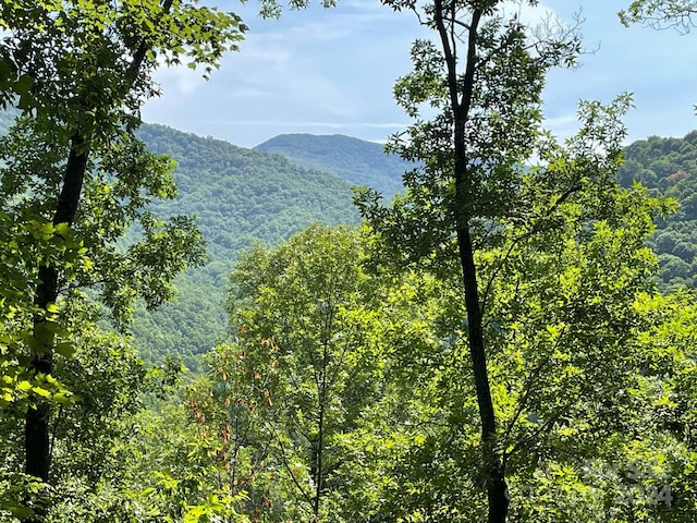 LT241 Down The Hill Rd Unit 241, Sylva NC, 28779 land for sale