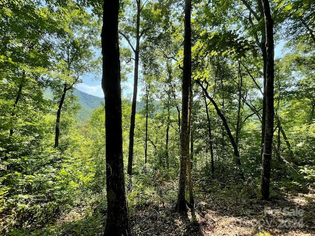 Listing photo 3 for LT241 Down The Hill Rd Unit 241, Sylva NC 28779