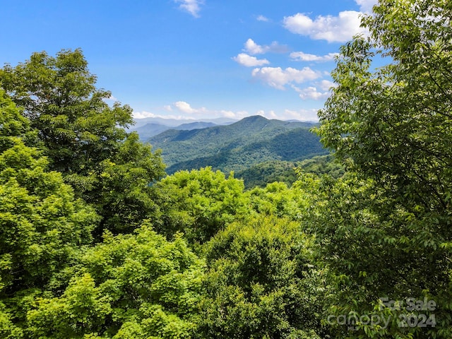 948 Lookout Drive 948 & 949, Mars Hill NC, 28754 land for sale