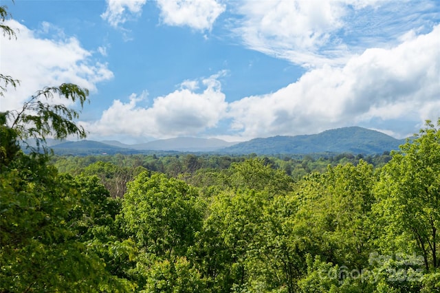 193 Brickyard Rd, Asheville NC, 28806 land for sale