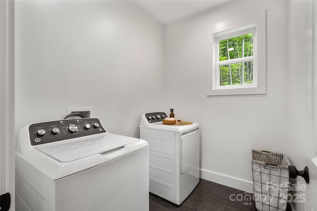 clothes washing area featuring dark hardwood / wood-style floors and washer and clothes dryer