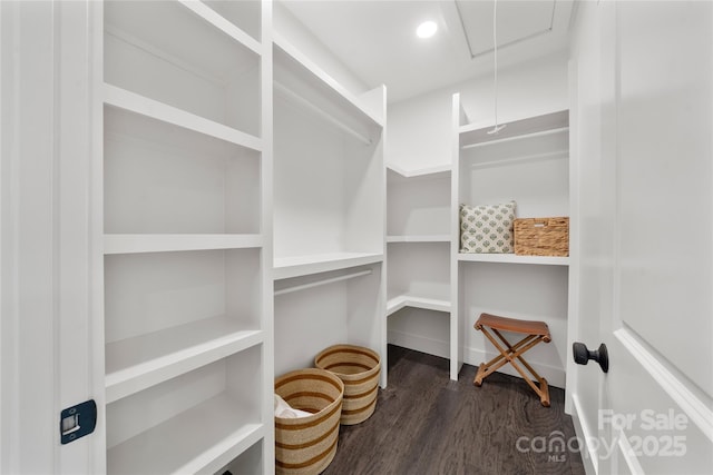 walk in closet with dark wood-type flooring