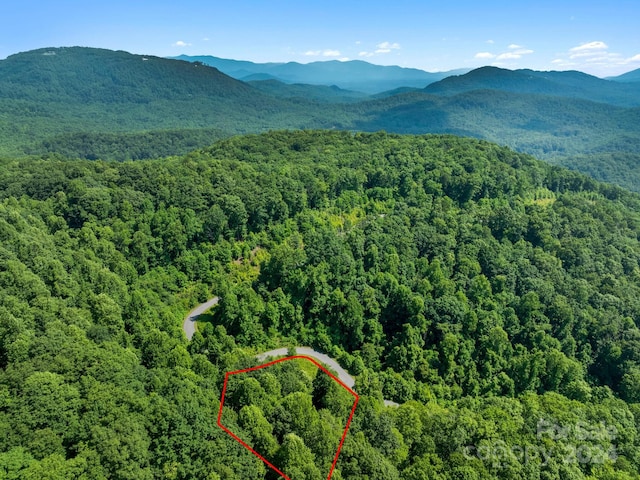 0 Bison Mdws Unit 270, Lake Lure NC, 28746 land for sale