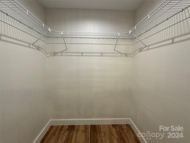 spacious closet with wood-type flooring