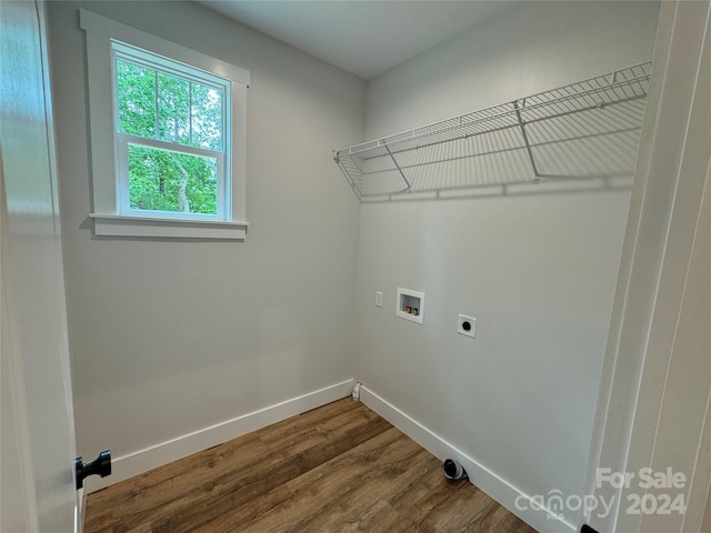 laundry area with washer hookup, electric dryer hookup, and hardwood / wood-style flooring