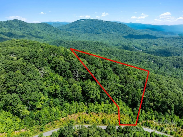 0 Bison Mdws Unit 197, Lake Lure NC, 28746 land for sale