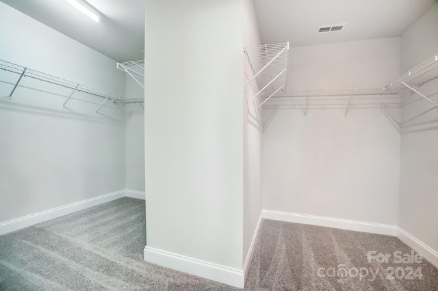 spacious closet featuring carpet flooring