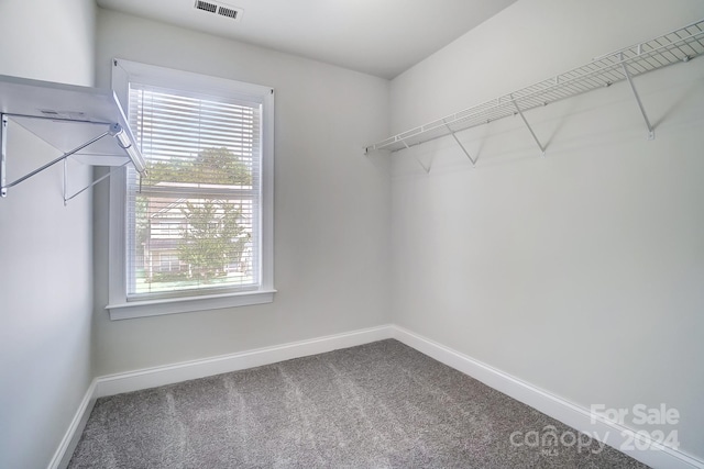 walk in closet with carpet floors