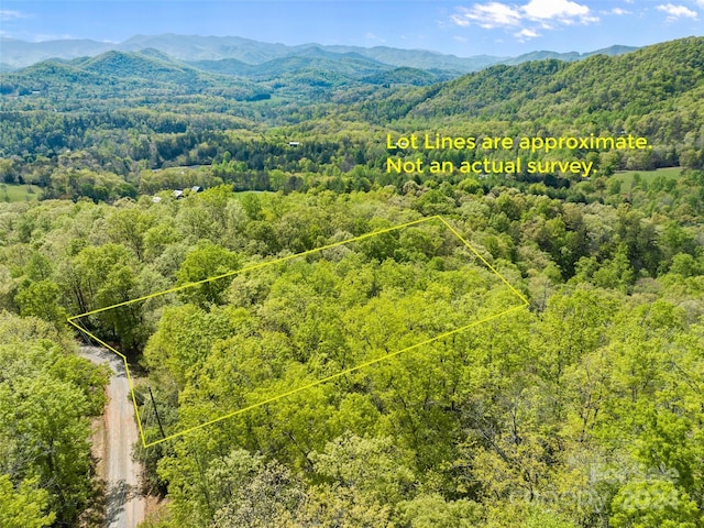 0 Piney Grove Rd Unit 1, Franklin NC, 28734 land for sale