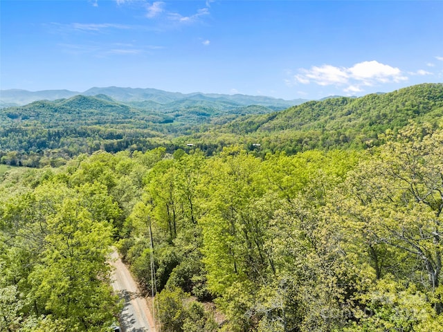 Listing photo 2 for 0 Piney Grove Rd Unit 1, Franklin NC 28734