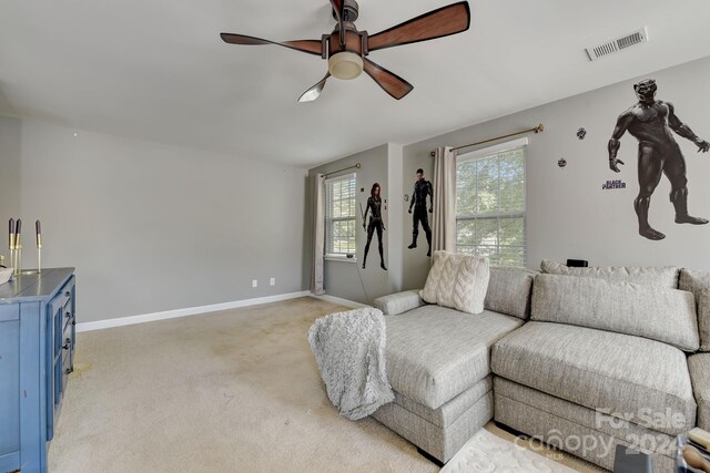 8714 Brideswell Ln, Charlotte, NC 28278 - photo 30