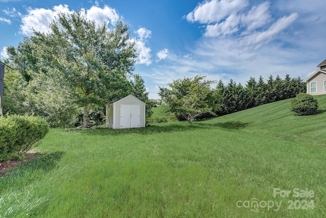 view of yard featuring a storage shed