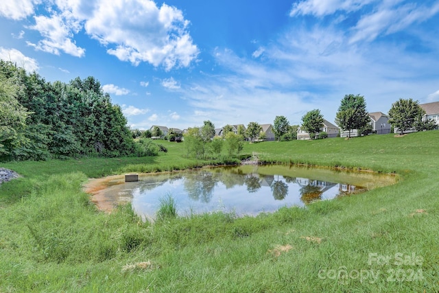 8714 Brideswell Ln, Charlotte, NC 28278 - photo 43