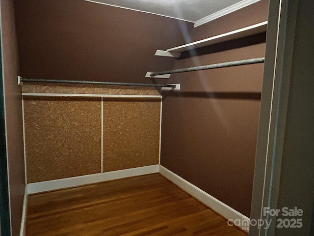 walk in closet featuring wood-type flooring