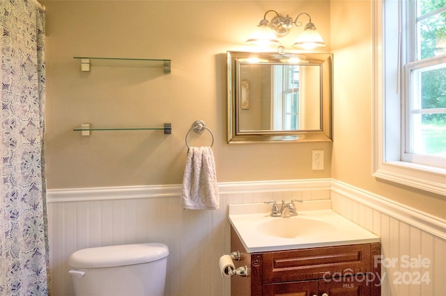 bathroom with vanity and toilet