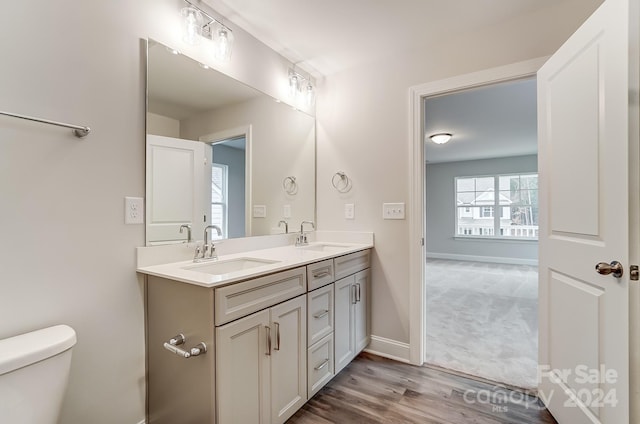 bathroom featuring vanity, wood-type flooring, and toilet