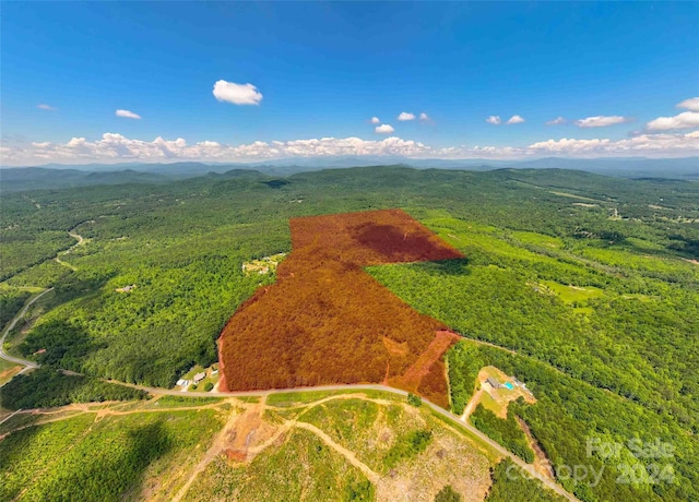 TBD Vein Mountain Rd, Nebo NC, 28761 land for sale