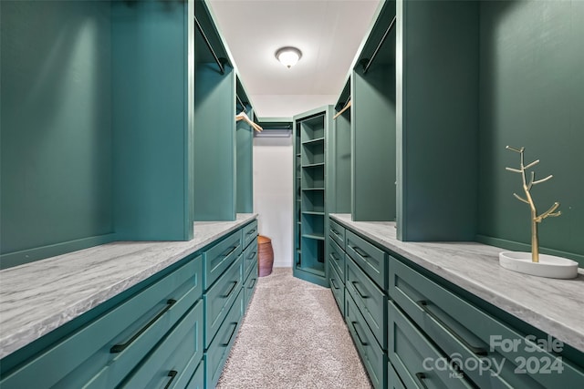 spacious closet featuring light carpet