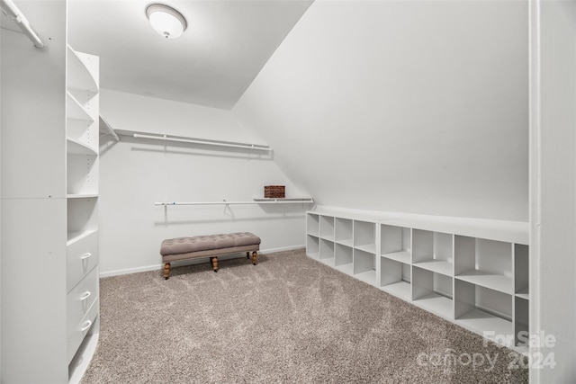 spacious closet with vaulted ceiling and carpet