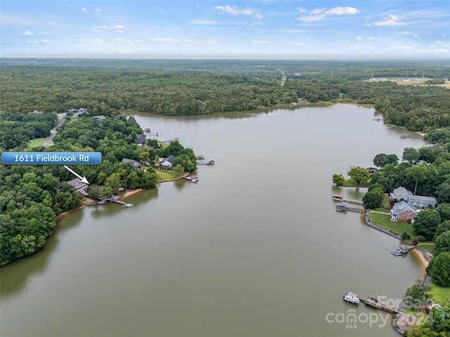 bird's eye view featuring a water view