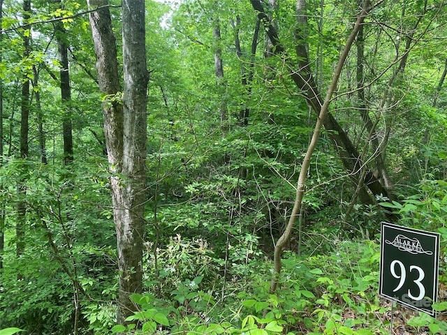 LOT93 Alarka Highlands Dr, Bryson City NC, 28713 land for sale