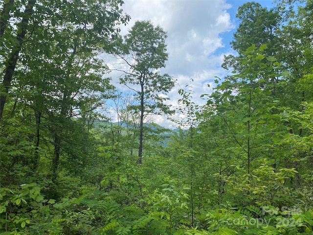 Listing photo 2 for LOT93 Alarka Highlands Dr, Bryson City NC 28713