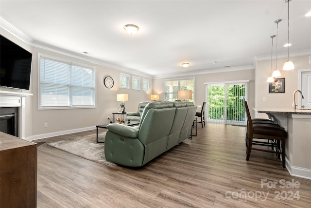 living room with sink, hardwood / wood-style flooring, and ornamental molding