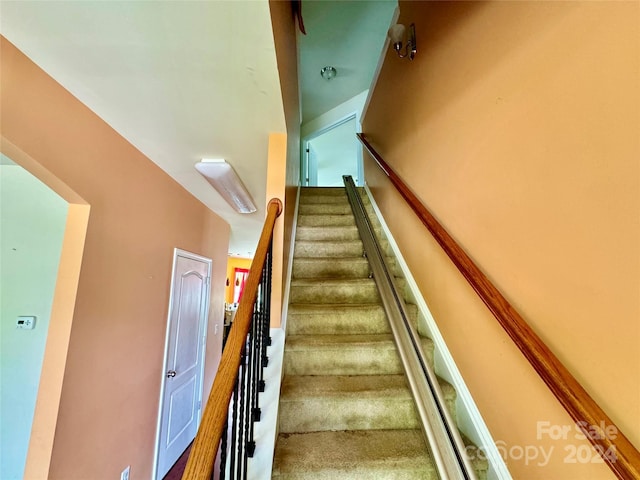 stairs featuring carpet flooring