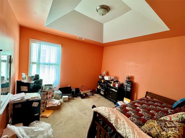 carpeted bedroom featuring a tray ceiling