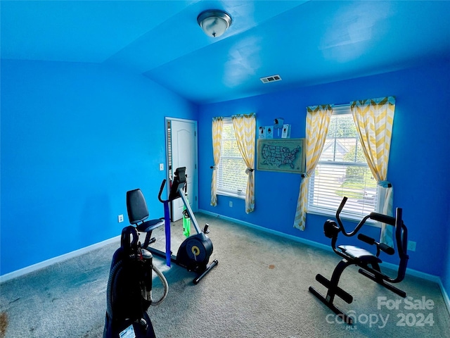 exercise area featuring carpet flooring and lofted ceiling