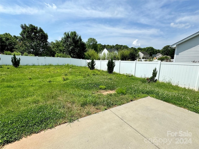 view of yard with a patio area