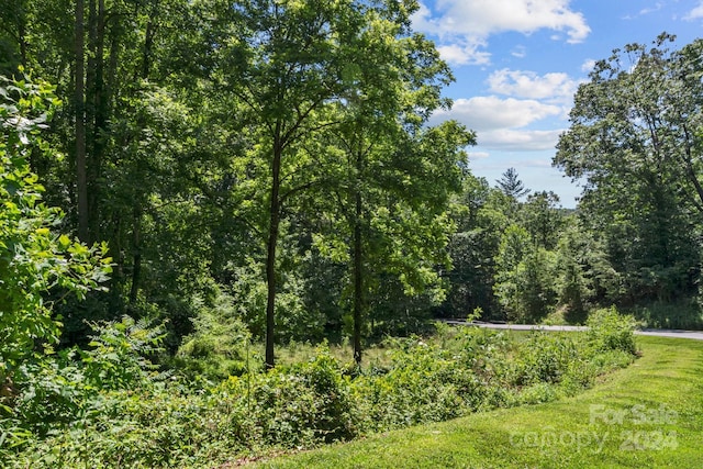 31 Sweet Fern Pkwy, Asheville NC, 28804 land for sale