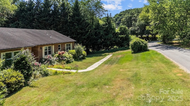 view of yard featuring driveway