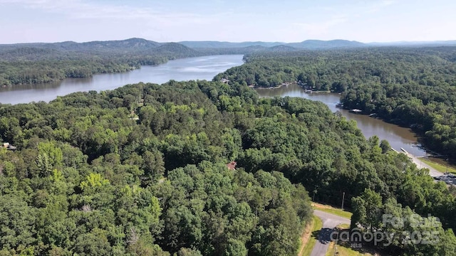 birds eye view of property featuring a water and mountain view