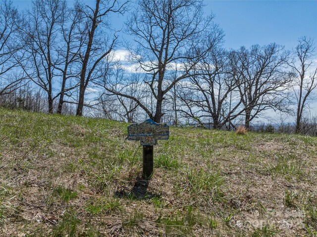 56 Snow Ridge Dr Unit 9, Hendersonville, NC 28792 - photo 1