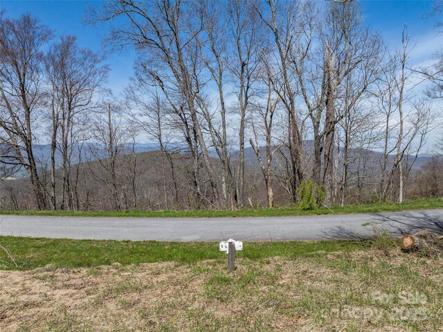 56 Snow Ridge Dr Unit 9, Hendersonville, NC 28792 - photo 2