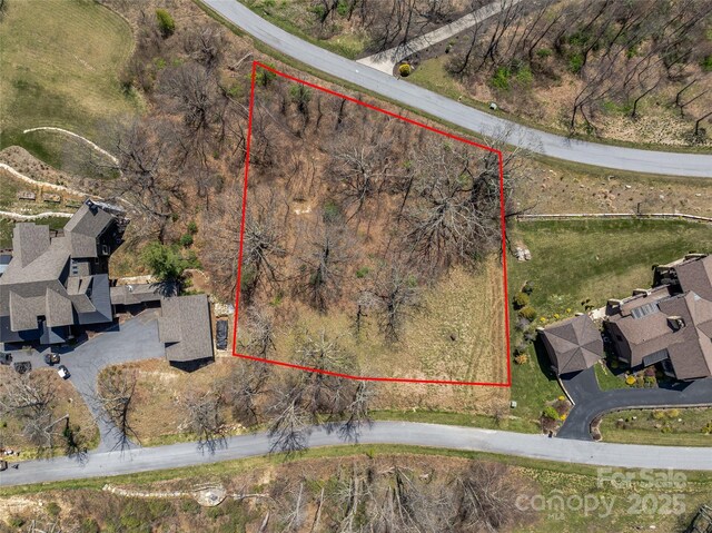 56 Snow Ridge Dr Unit 9, Hendersonville, NC 28792 - photo 4