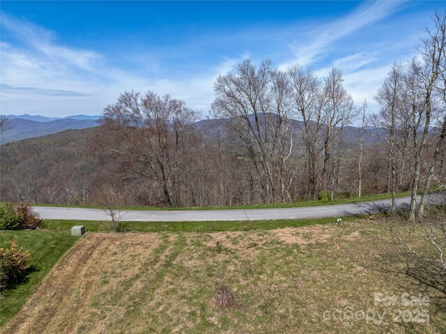 56 Snow Ridge Dr Unit 9, Hendersonville, NC 28792 - photo 5