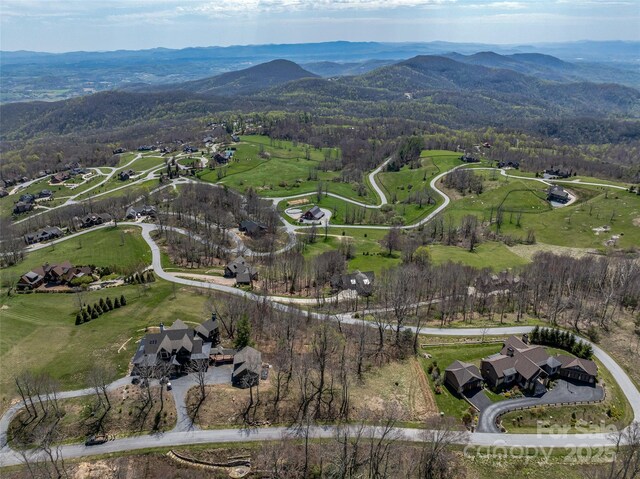 56 Snow Ridge Dr Unit 9, Hendersonville, NC 28792 - photo 6