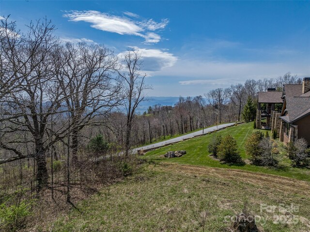 56 Snow Ridge Dr Unit 9, Hendersonville, NC 28792 - photo 7