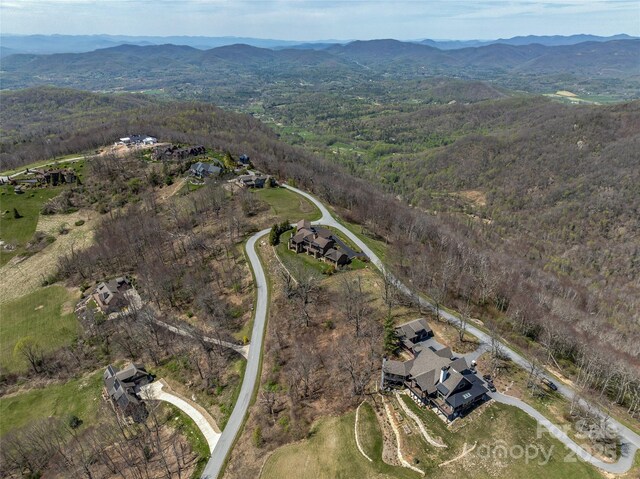 56 Snow Ridge Dr Unit 9, Hendersonville, NC 28792 - photo 8