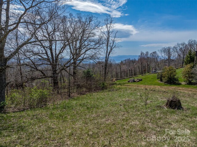 56 Snow Ridge Dr Unit 9, Hendersonville, NC 28792 - photo 9